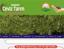 Tablet Screenshot of cevizyetistir.com